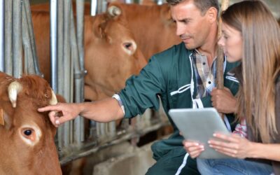 Agriculture: Veterinarian Clinic